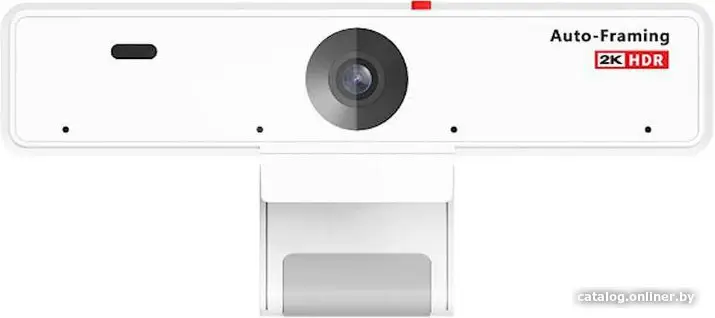 Веб-камера Nearity V21 (AW-V21)