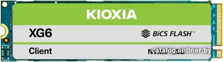 SSD диск Kioxia XG6 256GB Bulk (KXG60ZNV256G)